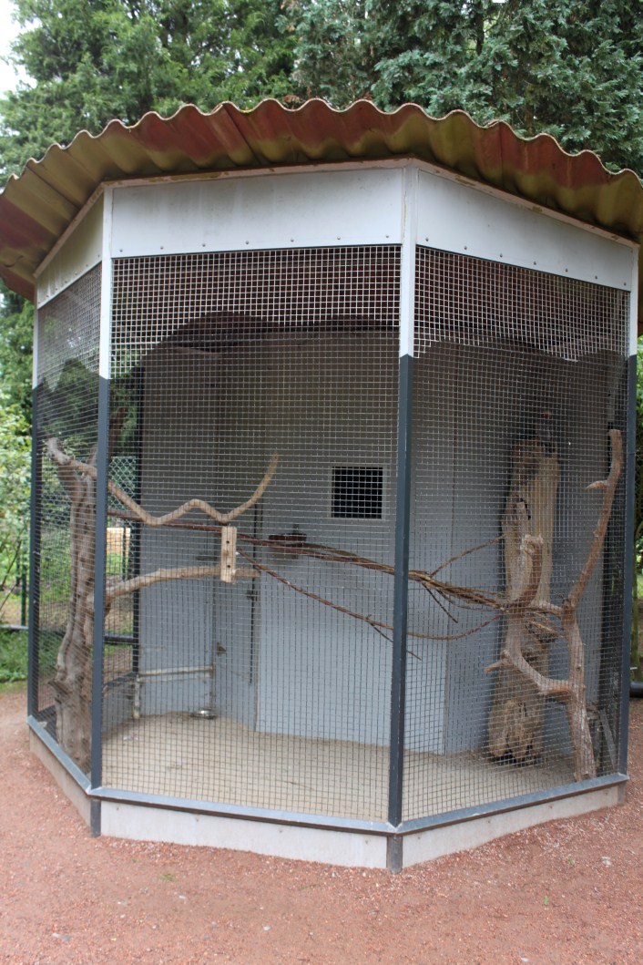 Planckendael - Oceania (Cockatoo aviary)