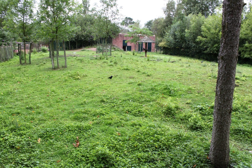 Planckendael - Oceania (Kangaroo/emu)