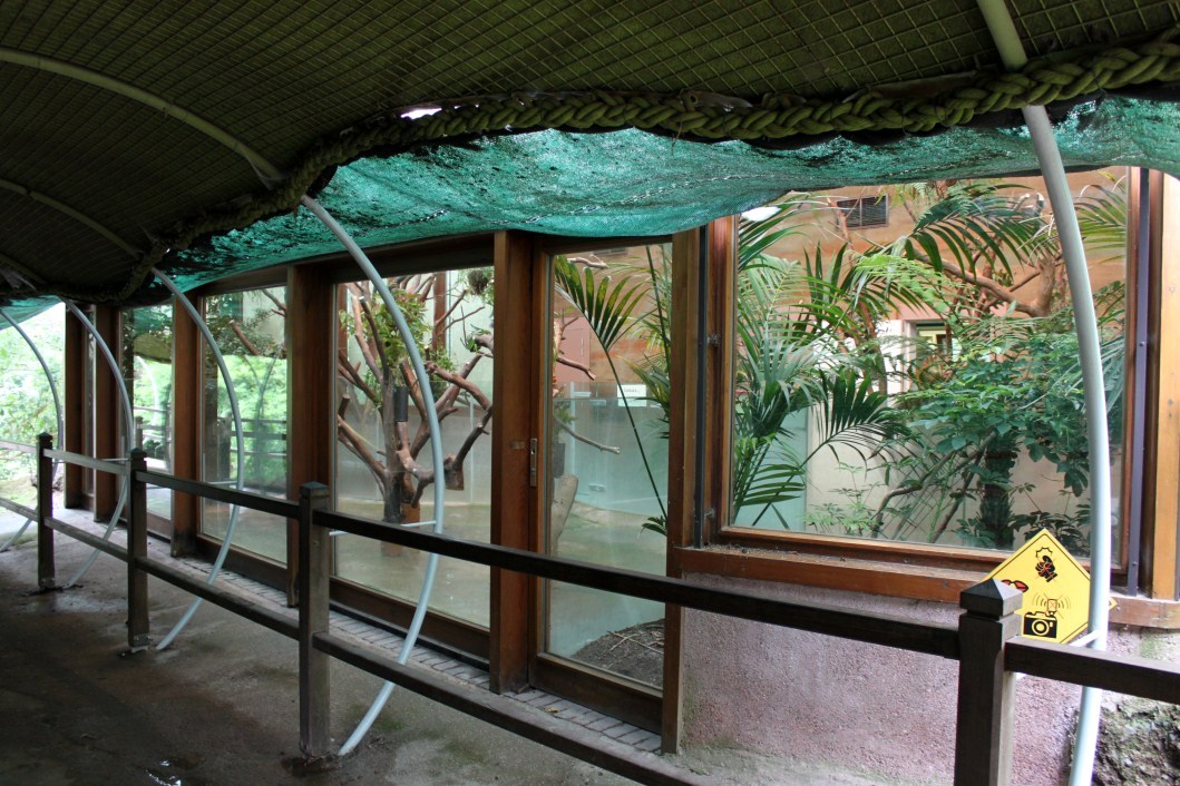 Planckendael - Oceania (Koala House)