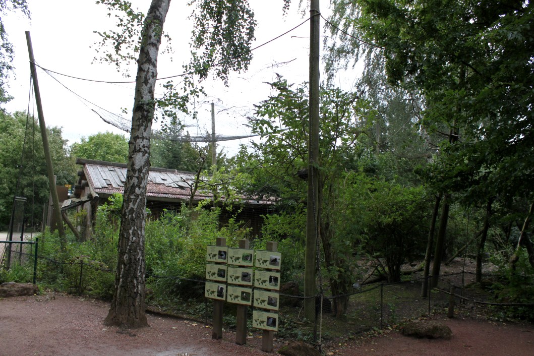 Planckendael - Oceania (Wetlands aviary)