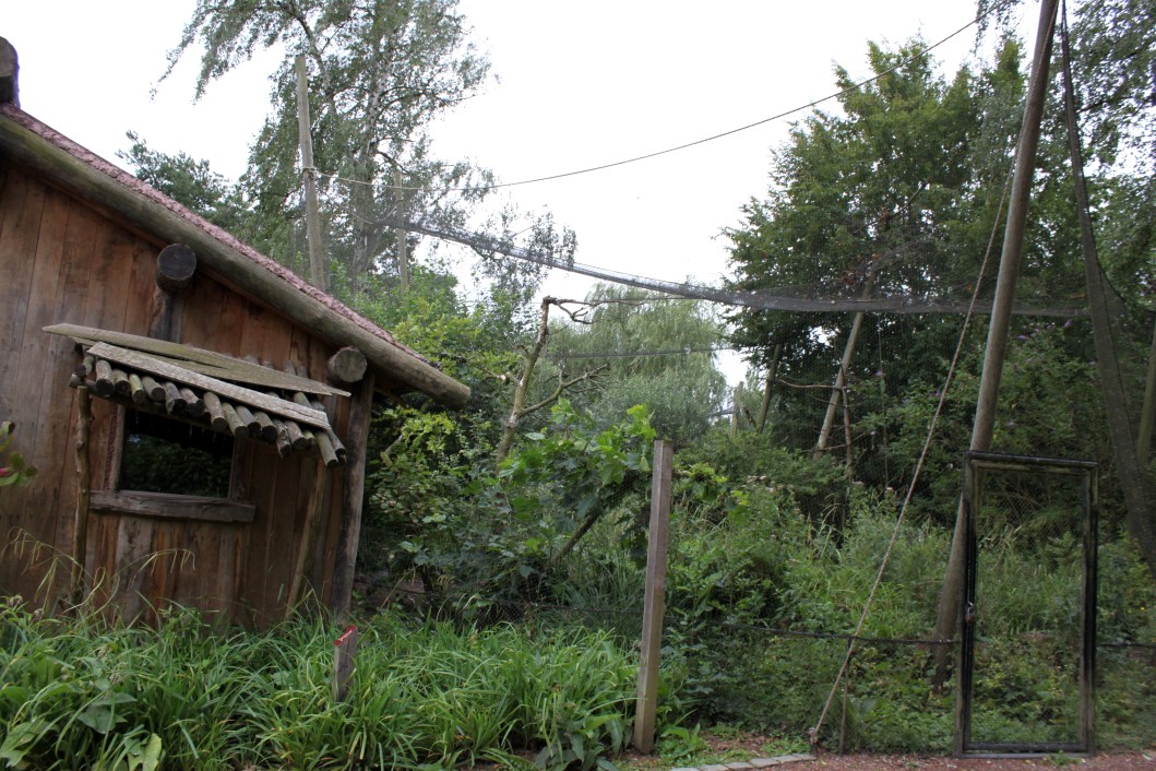 Planckendael - Oceania (Wetlands aviary)