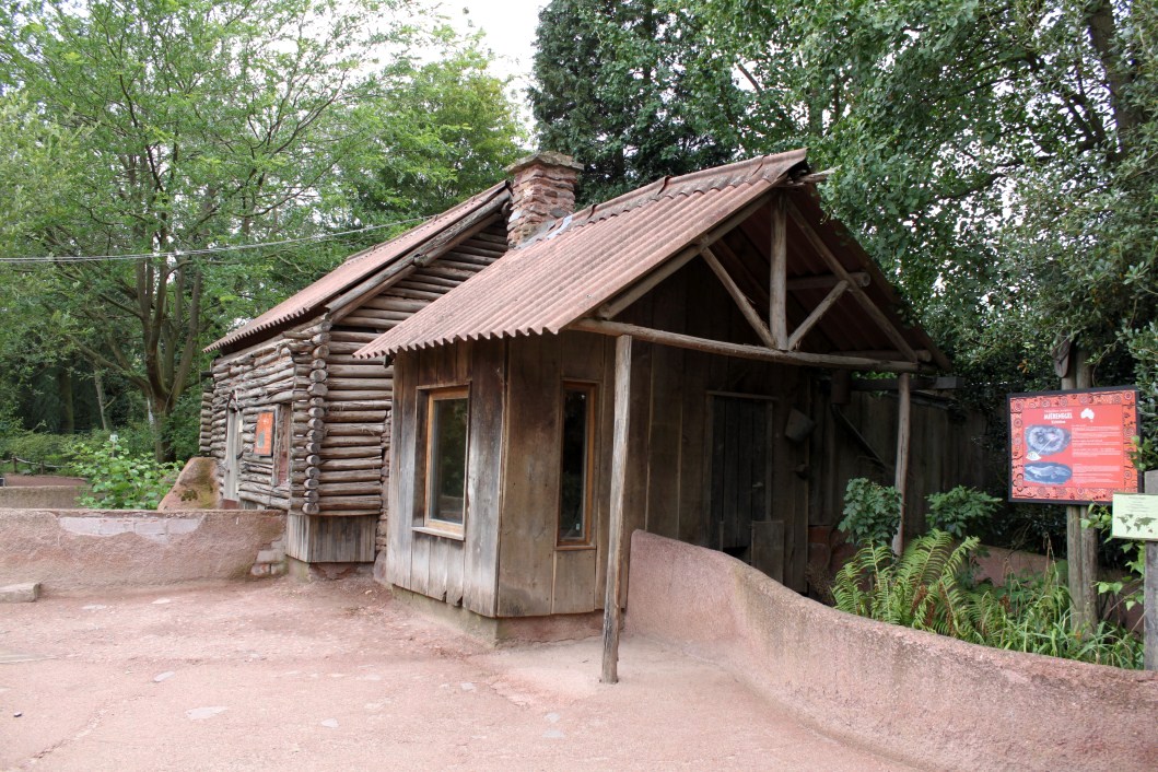 Planckendael - Oceania (Wombat/echidna)