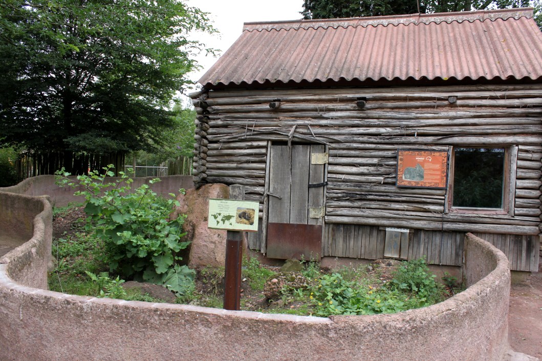 Planckendael - Oceania (Wombat)