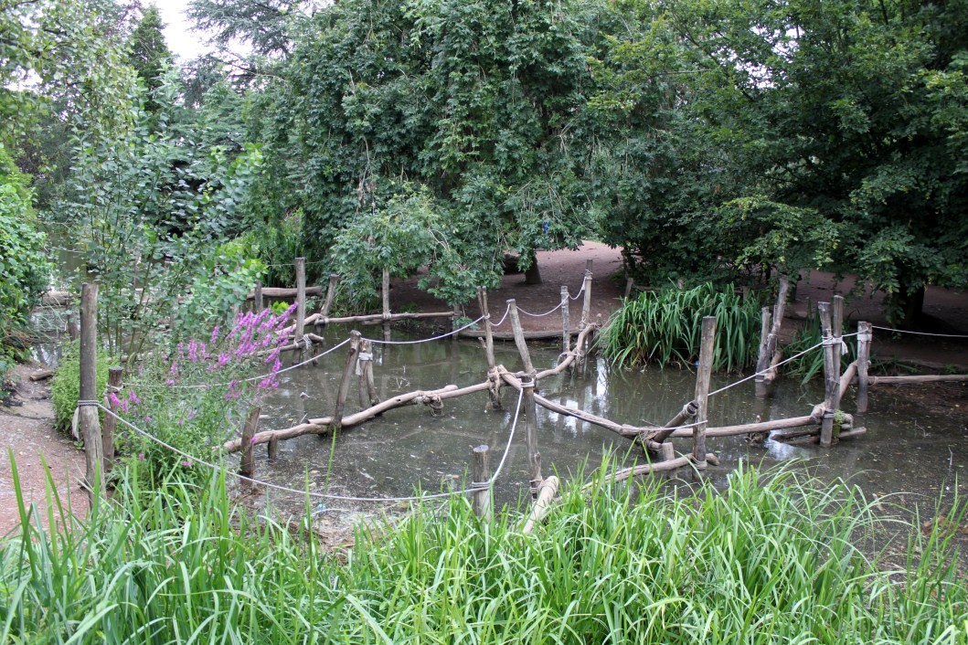 Planckendael - Oceania