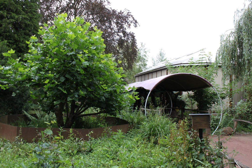 Planckendael - Oceania