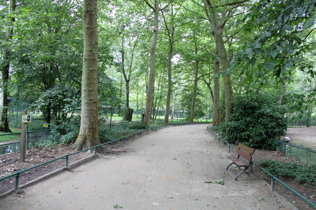 Planckendael - Pathway