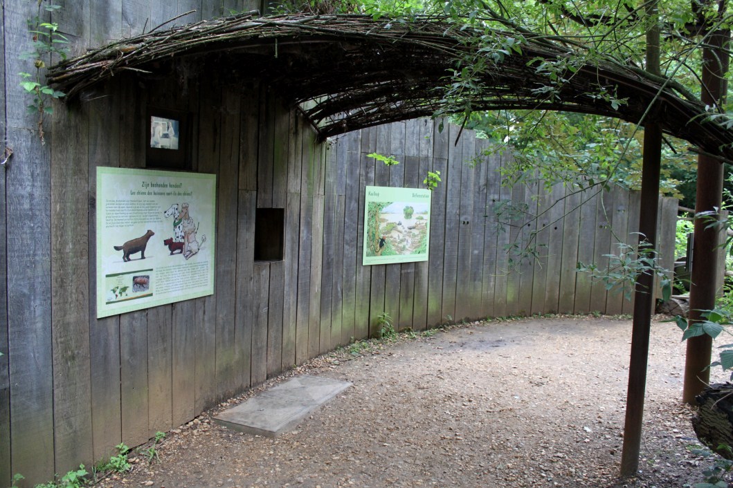 Planckendael - South America (Bush dog)