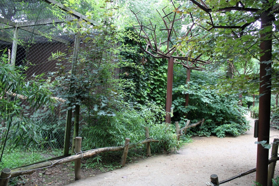 Planckendael - South America (Macaw)