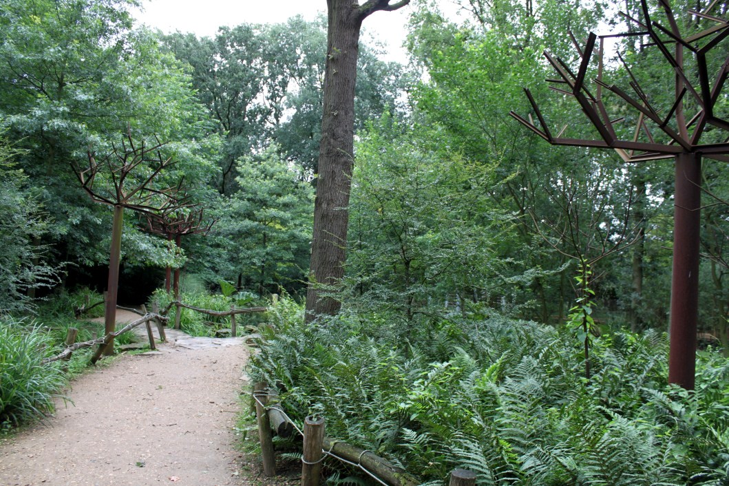 Planckendael - South America (Pathway)