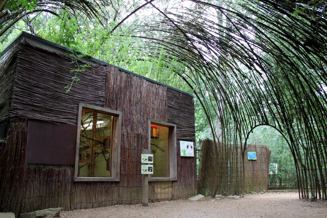 Planckendael - South America (Tamarin house)