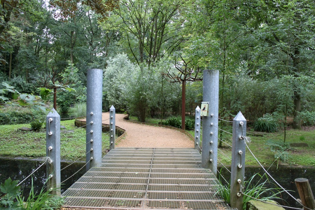 Planckendael - South America (Tamarin island)