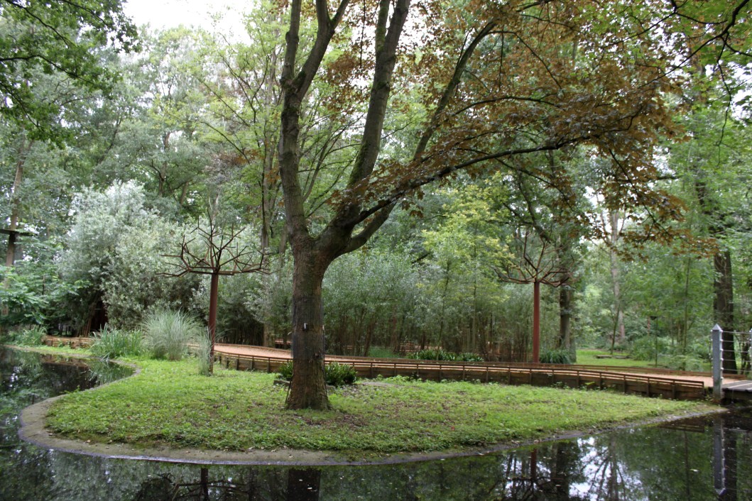 Planckendael - South America (Tamarin island)