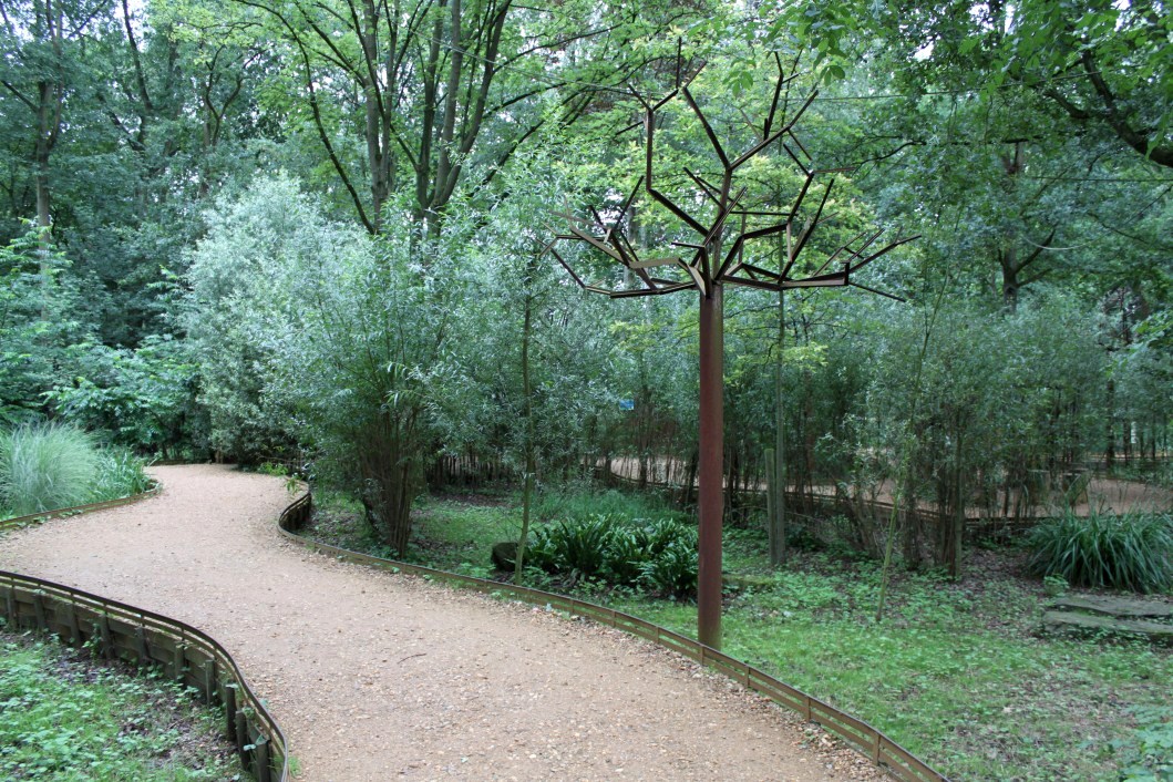 Planckendael - South America (Tamarin island)