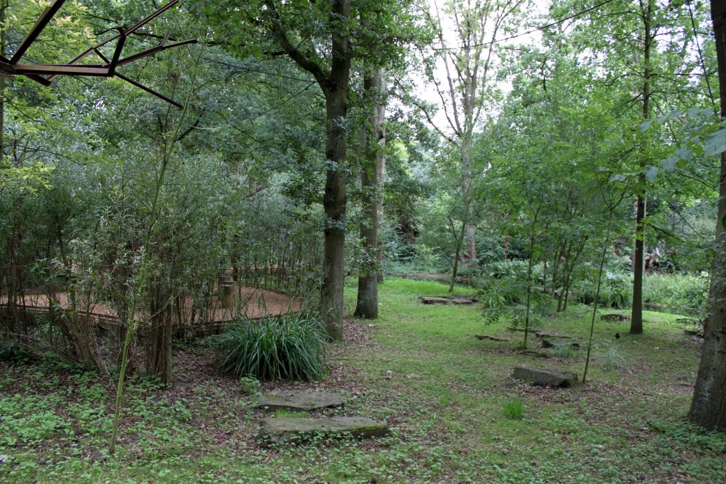 Planckendael - South America (Tamarin island)