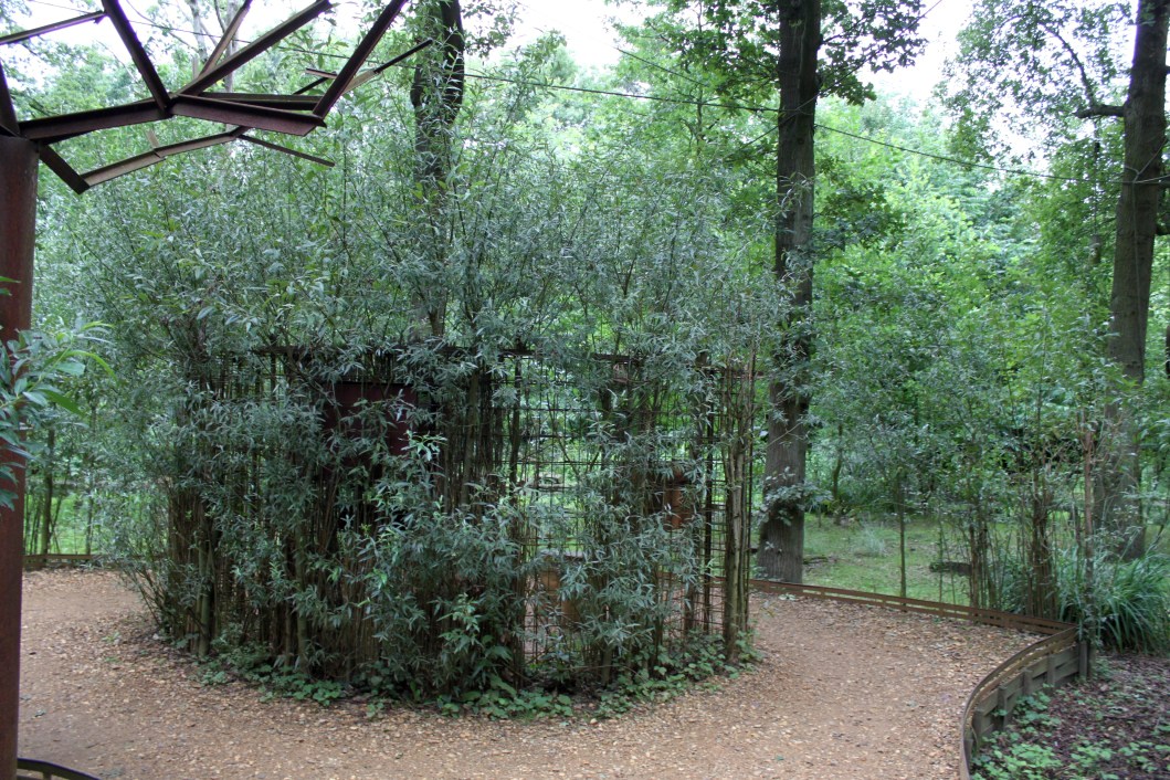 Planckendael - South America (Tamarin island)