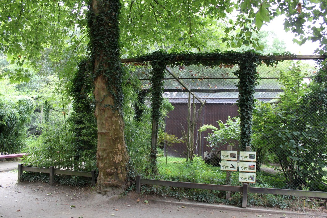 Planckendael - South American aviary