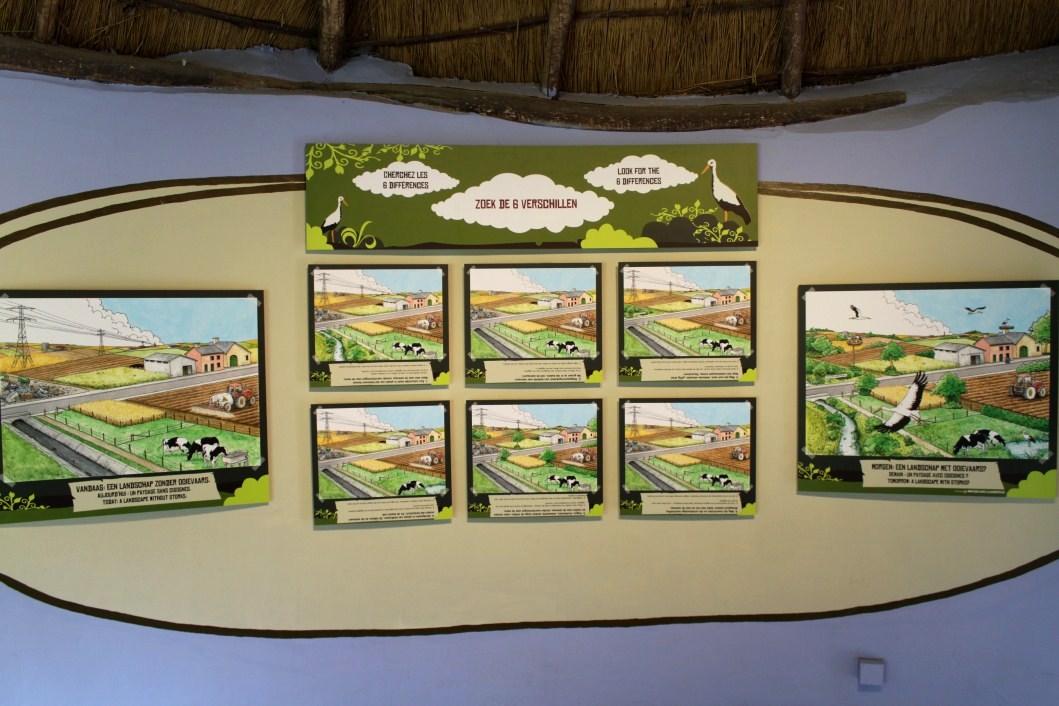 Planckendael - Stork Conservation