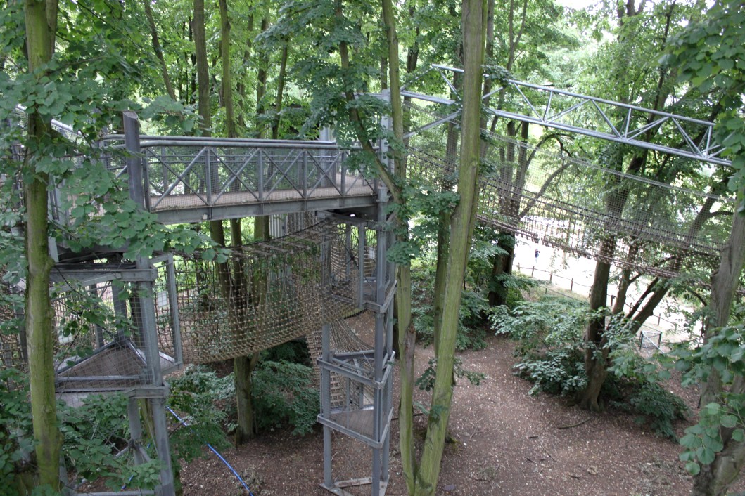 Planckendael - Tree Top Walk