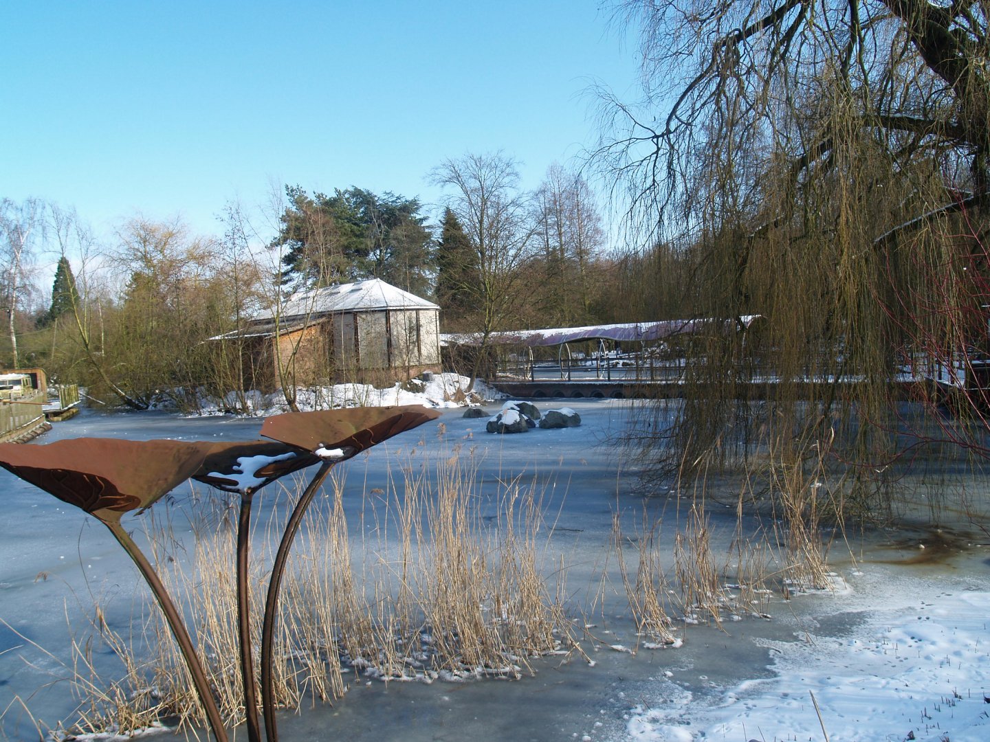 Planckendael's Oceania/Australian area in winter time, 2010-02-16