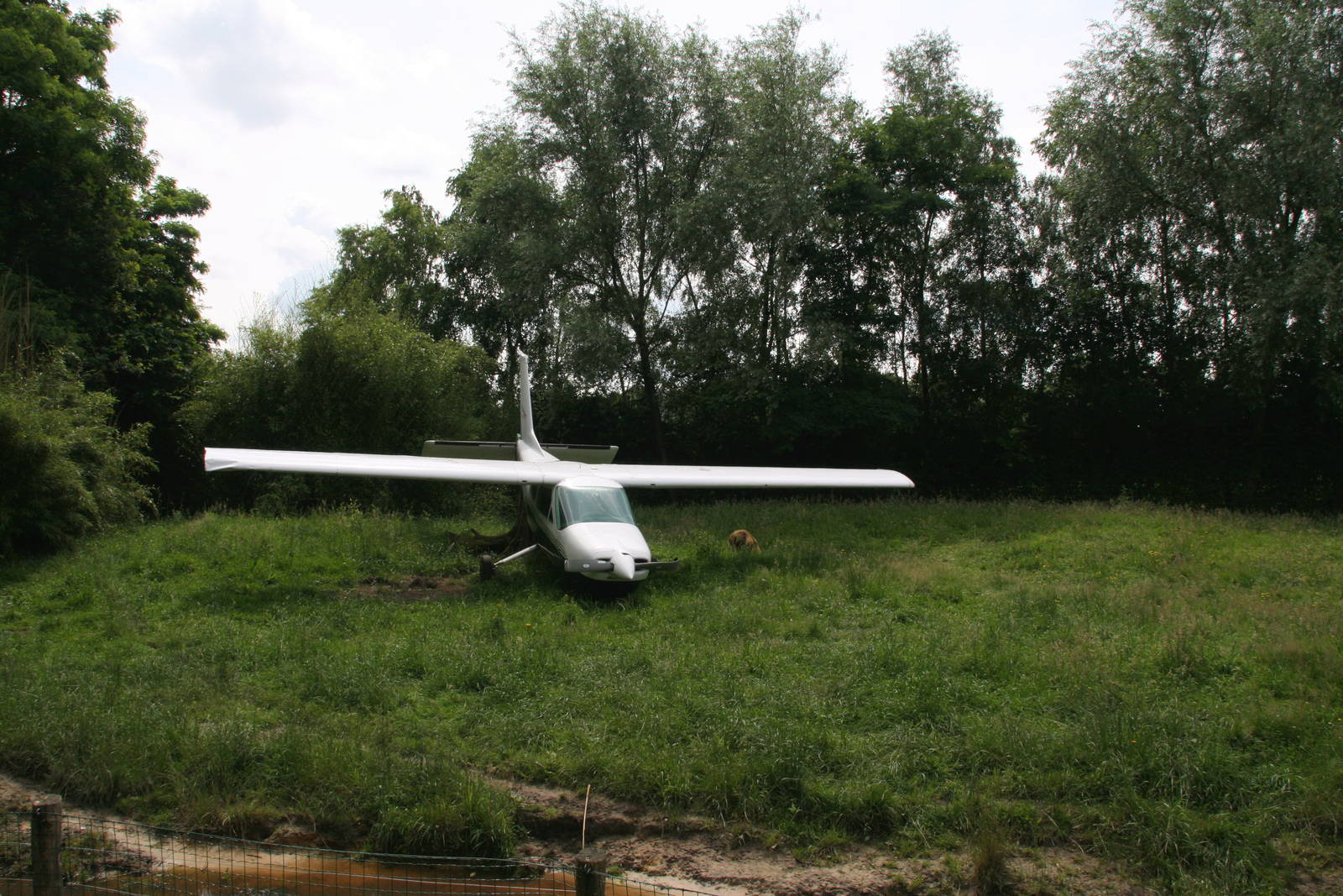 plane in the African wild dog enclosure