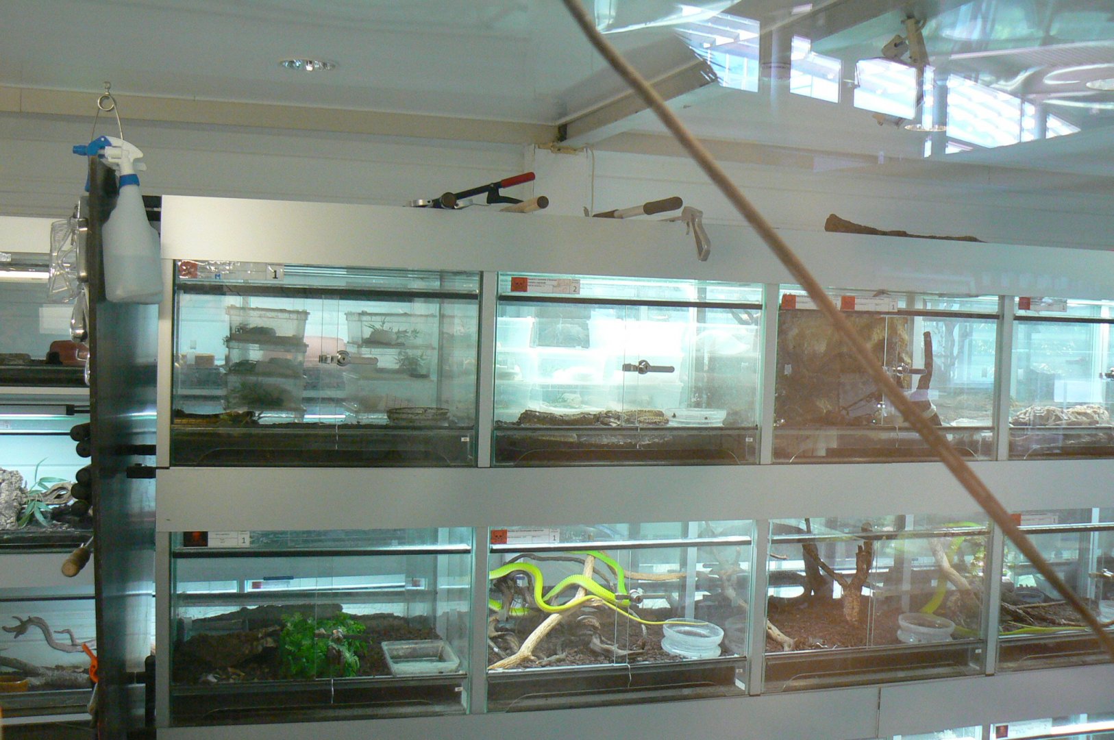 Planet Exotica - Breeding center