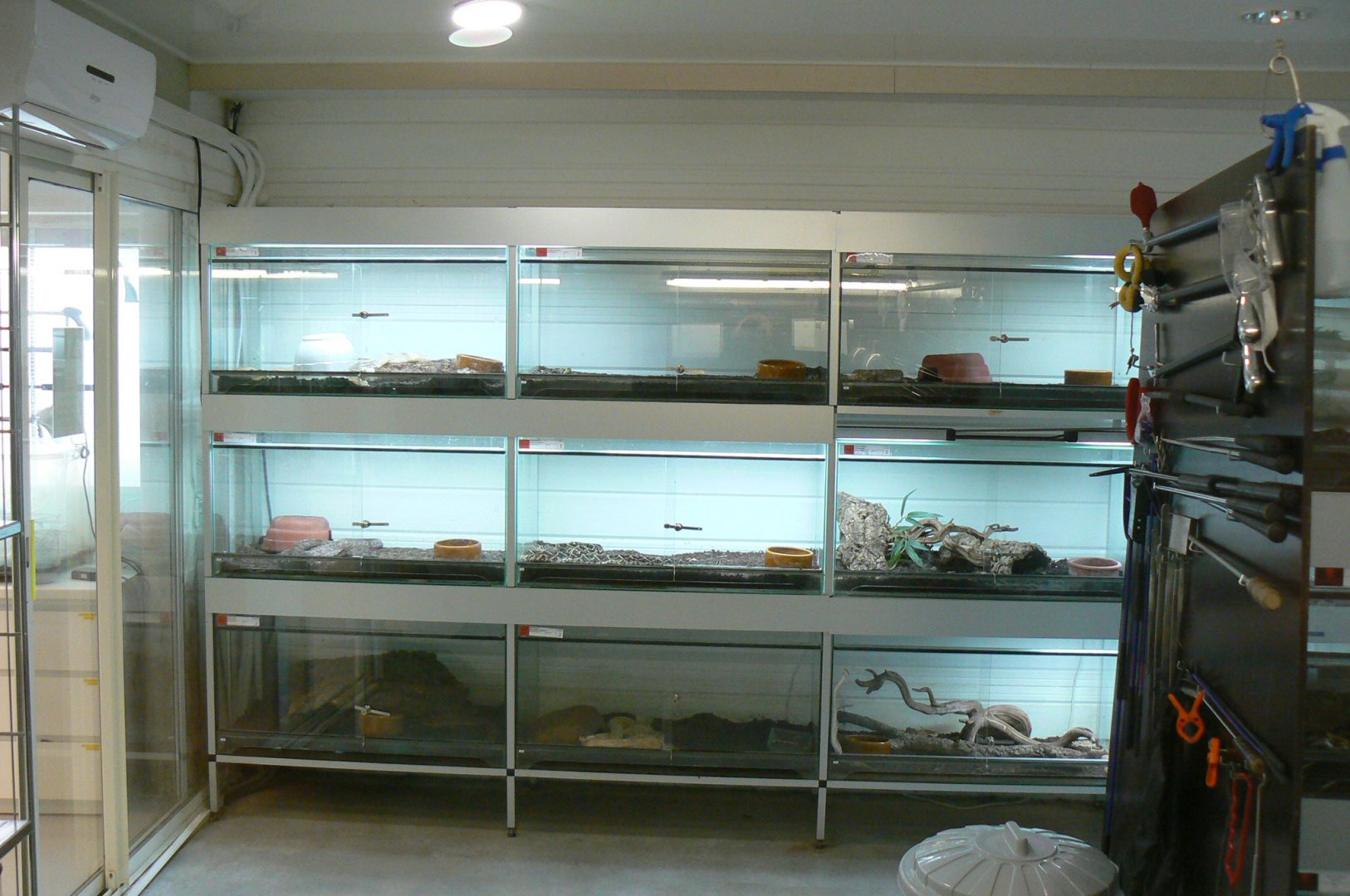 Planet Exotica - Breeding center