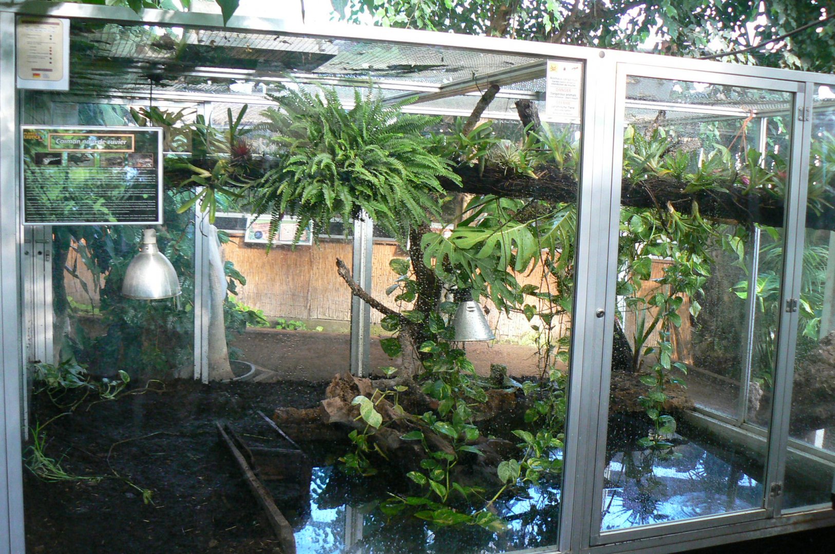 Planet Exotica - Cuvier's dwarf caimans enclosure