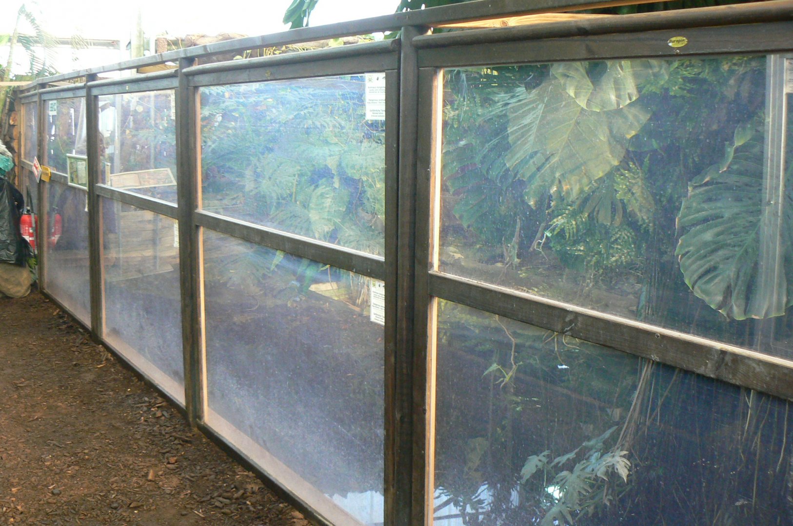 Planet Exotica - Dwarf crocodiles enclosure