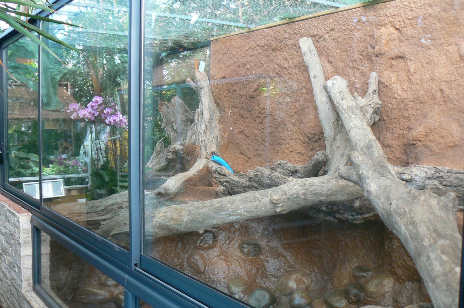 Planet Exotica - Empty exhibit in refurbishment