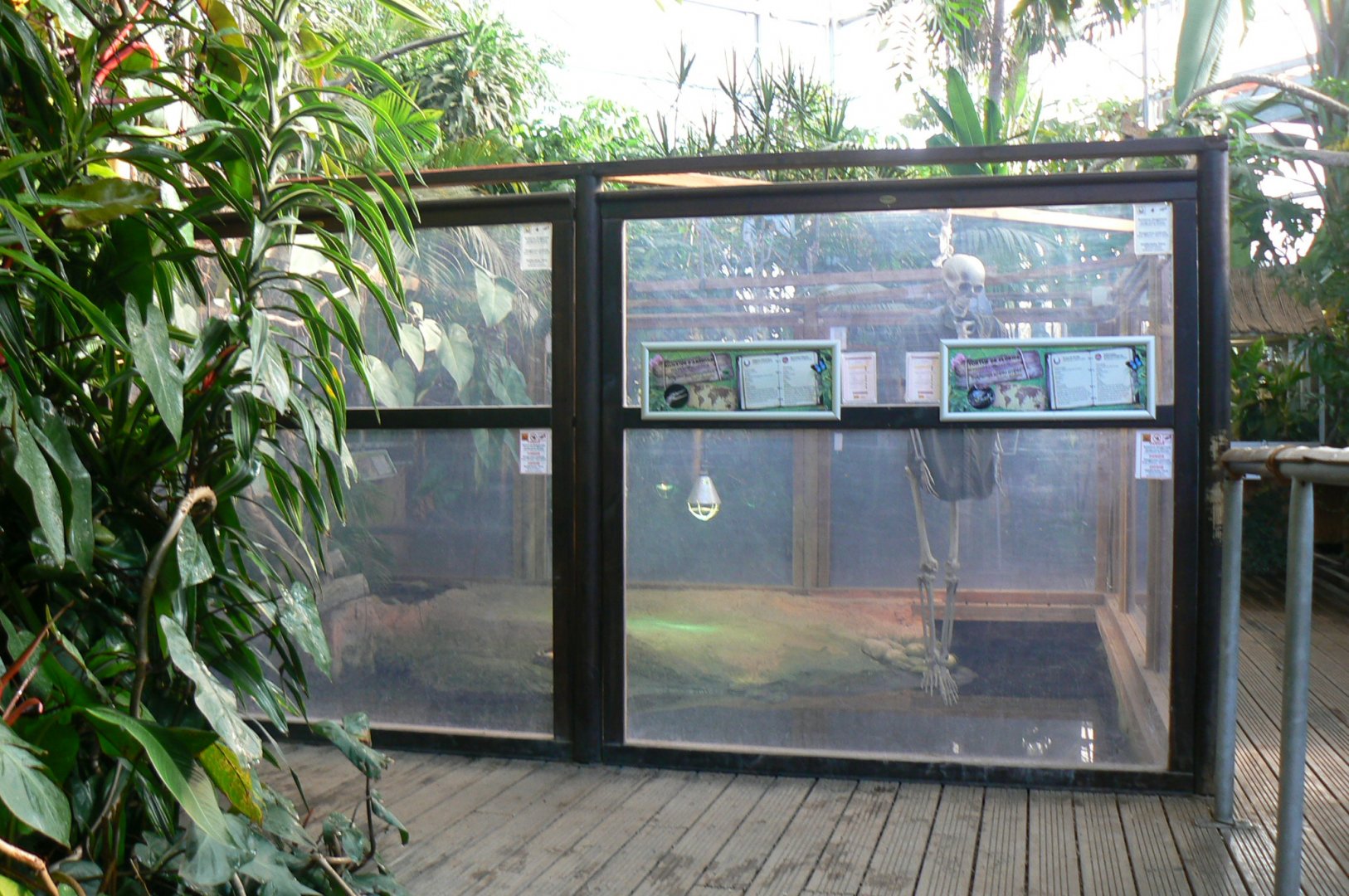 Planet Exotica - Mississippi alligators and yellow-bellied sliders exhibit