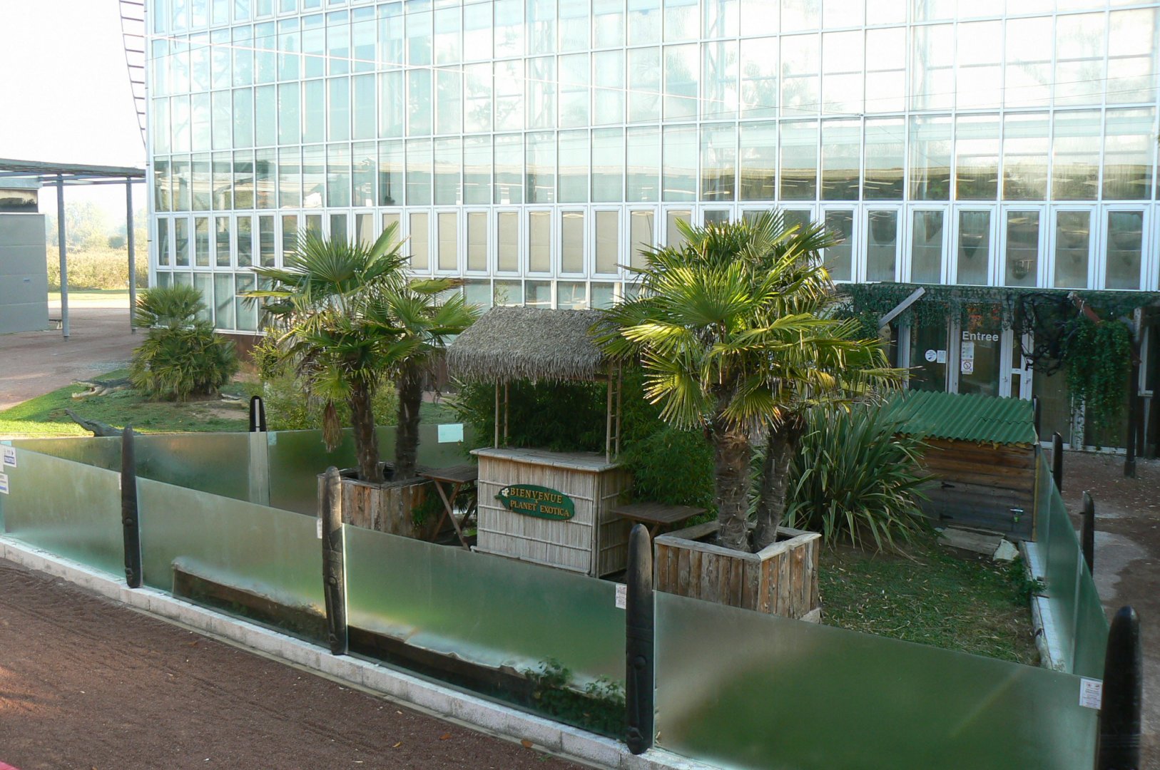 Planet Exotica - Presentation area for reptiles (and enclosure for leopard and hermann's tortoises)