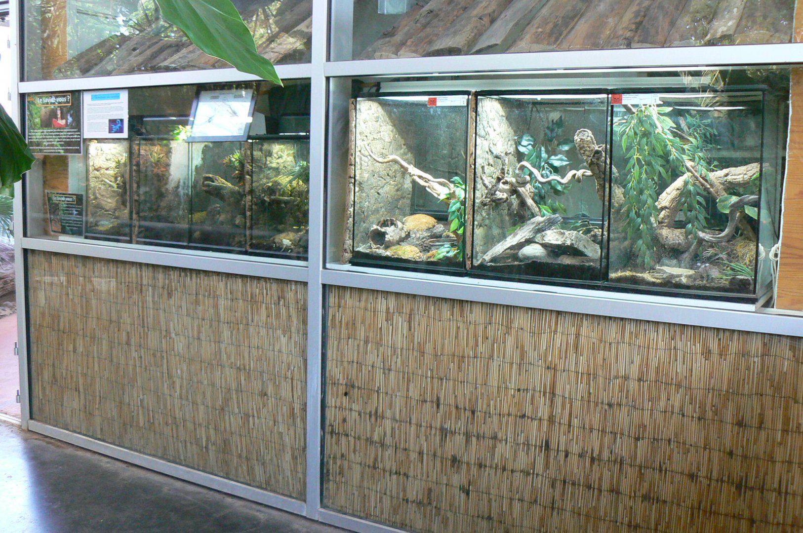 Planet Exotica - Terrariums for Brachypelma annita, Brachypelma emilia and scorpions