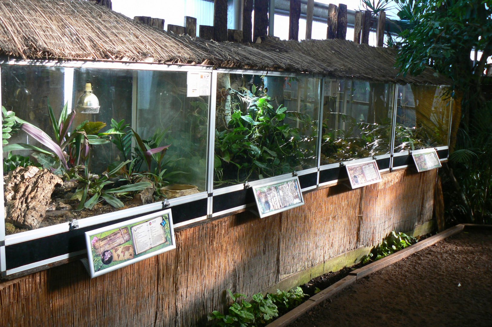 Planet Exotica - Terrariums for Gaboon viper, cascabel rattlesnakes, blue-spotted monitors and Yemen chameleons