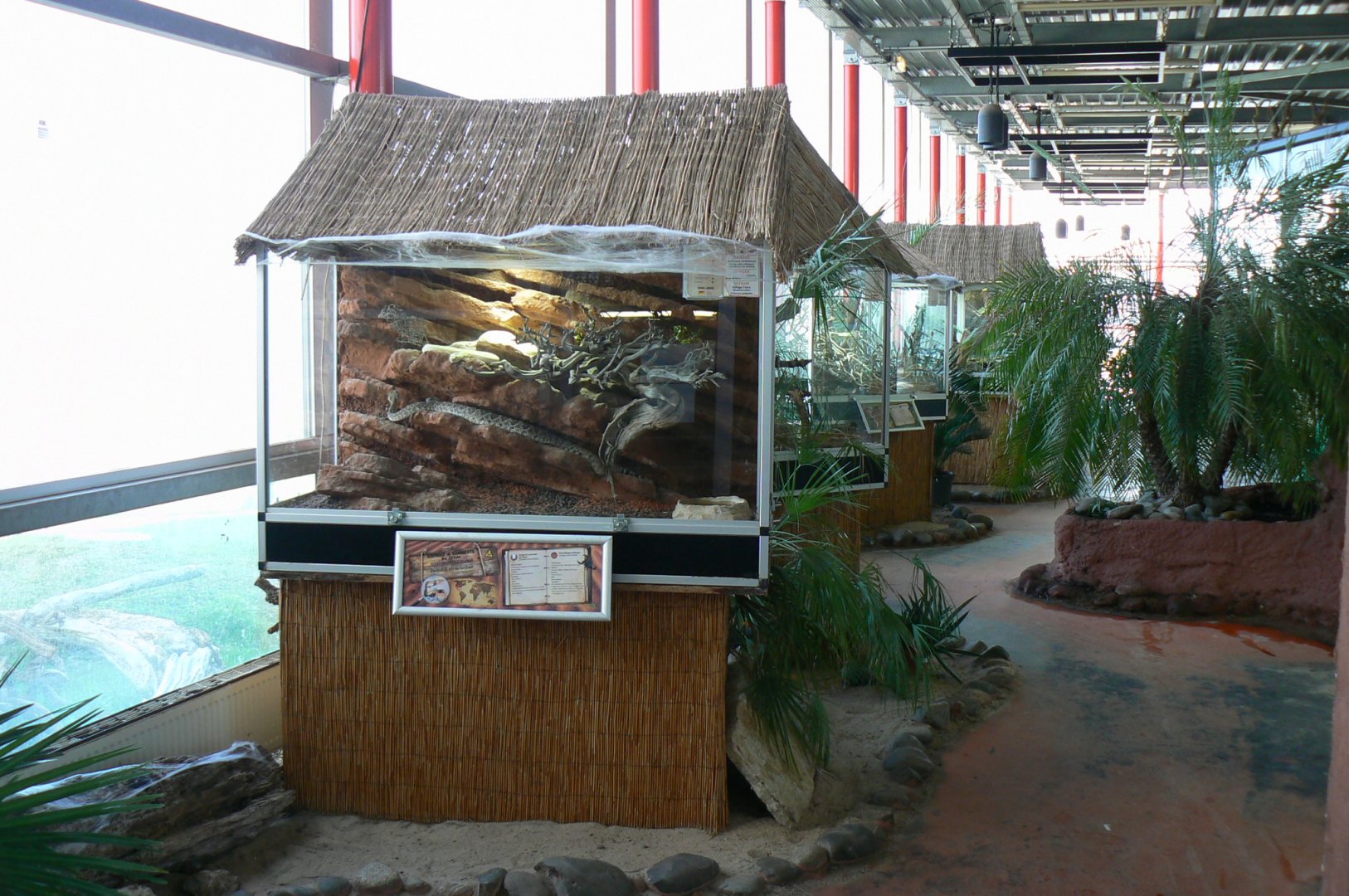 Planet Exotica - View on arttlesnakes terrarium