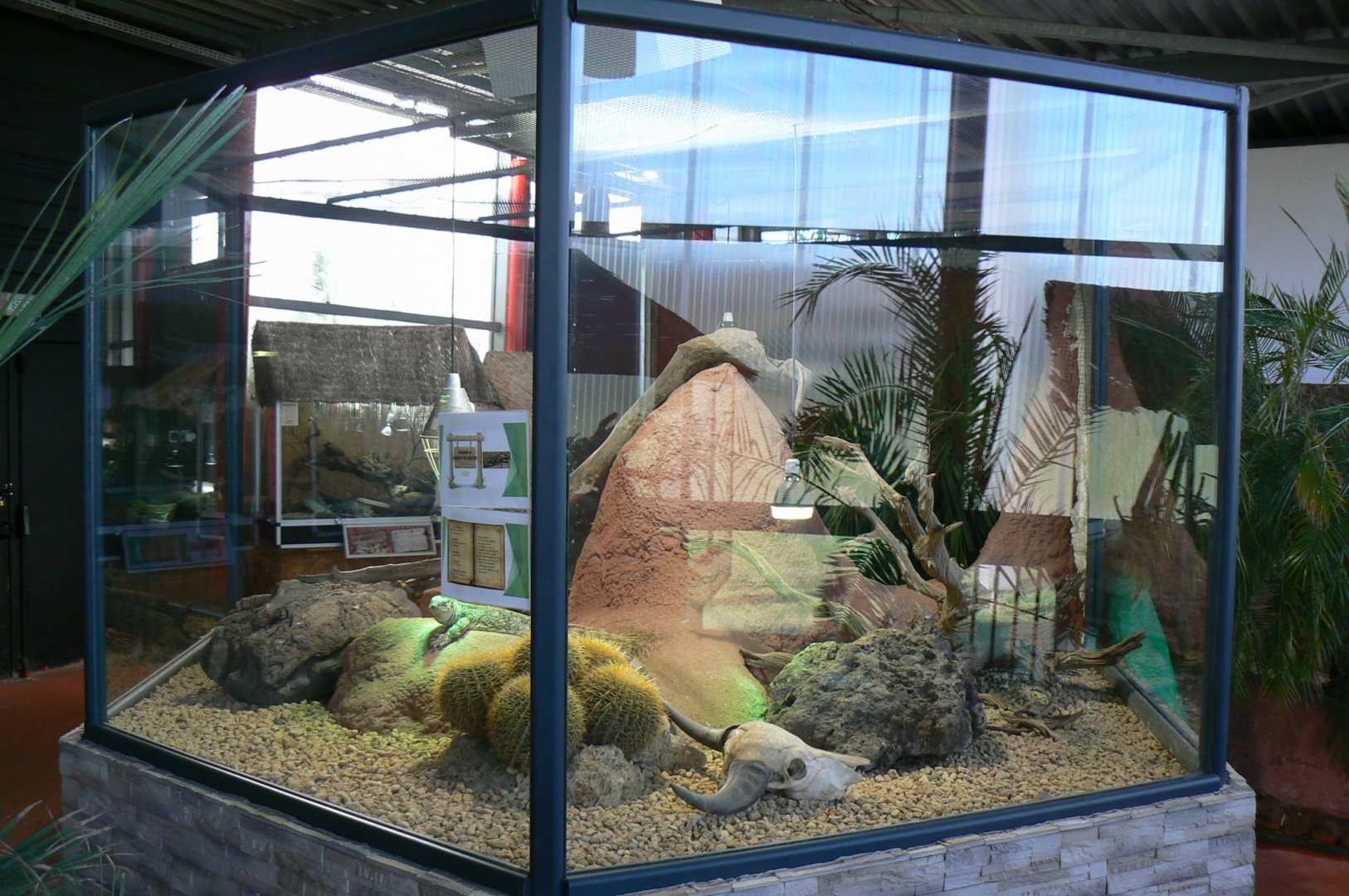 Planet Exotica - White-throated monitor enclosure