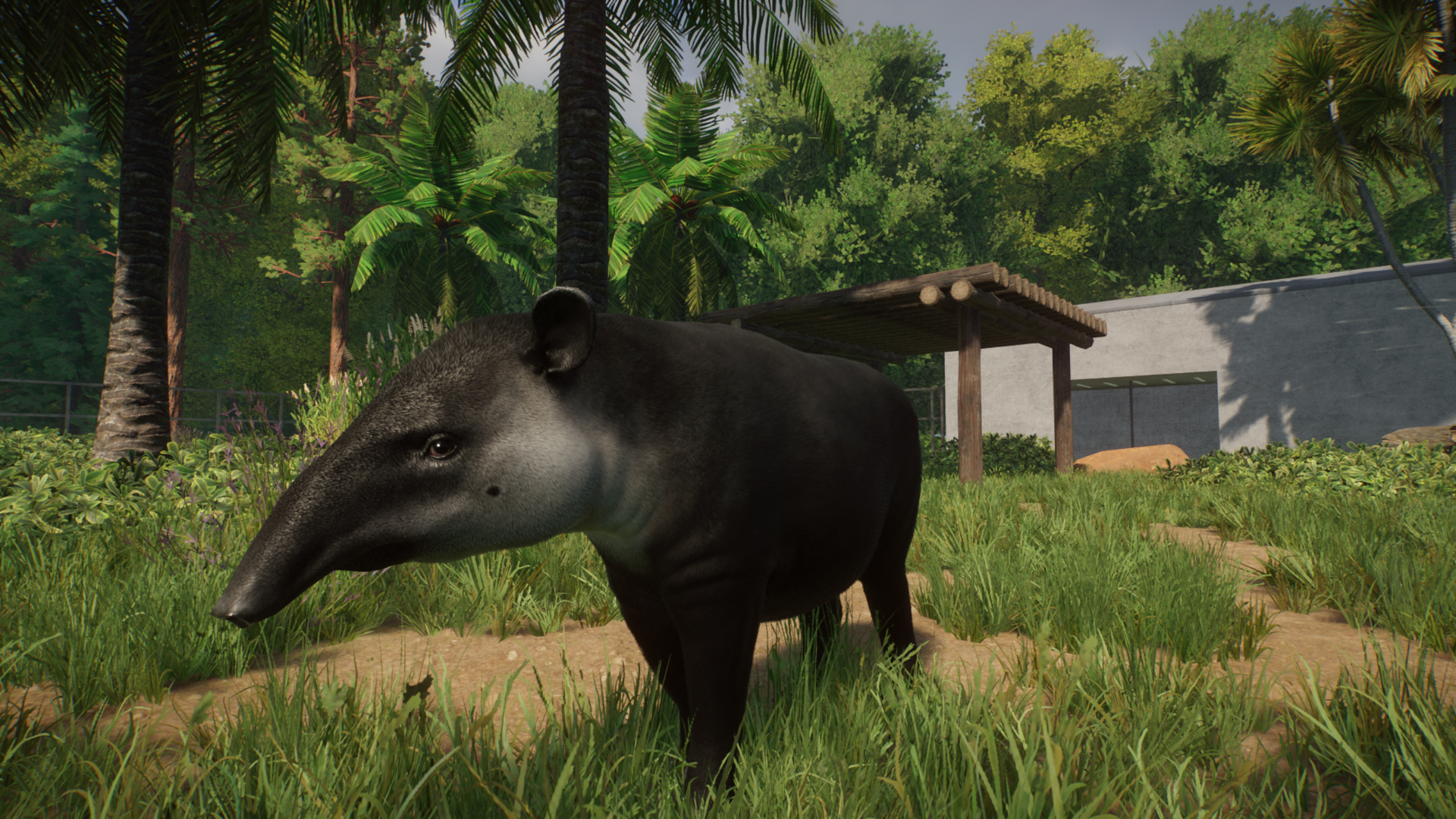 Planet Zoo - Baird's Tapir