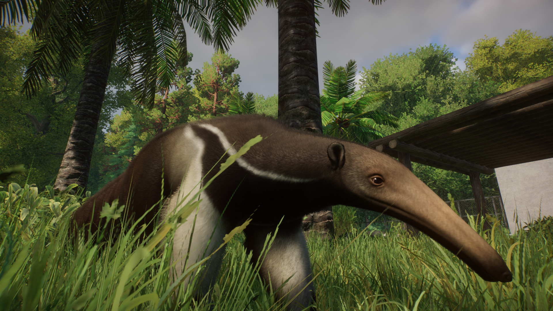 Planet Zoo - Giant Anteater