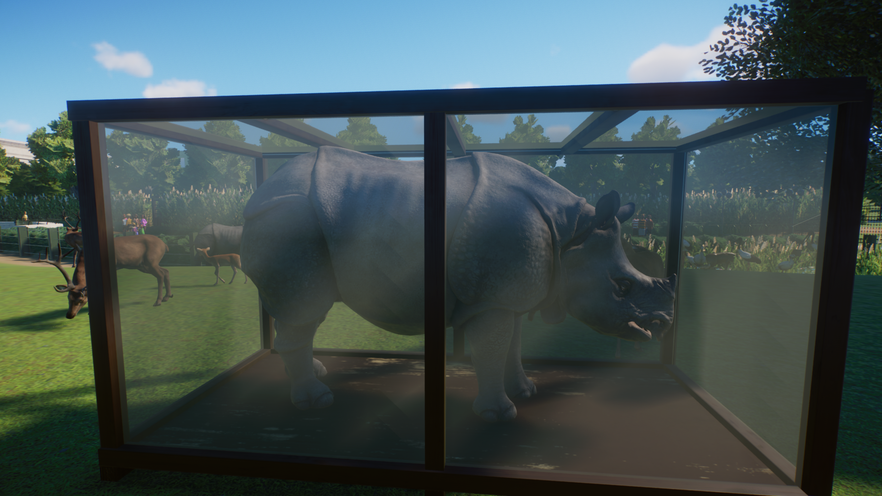 Planet Zoo - Museum Exhibit Case Testing