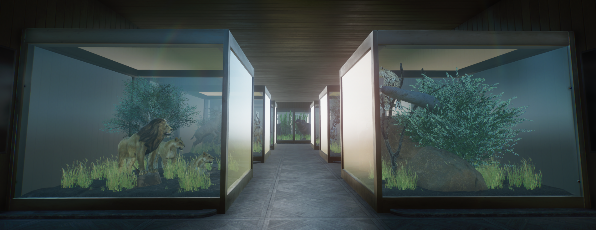 Planet Zoo - Museum Under Construction