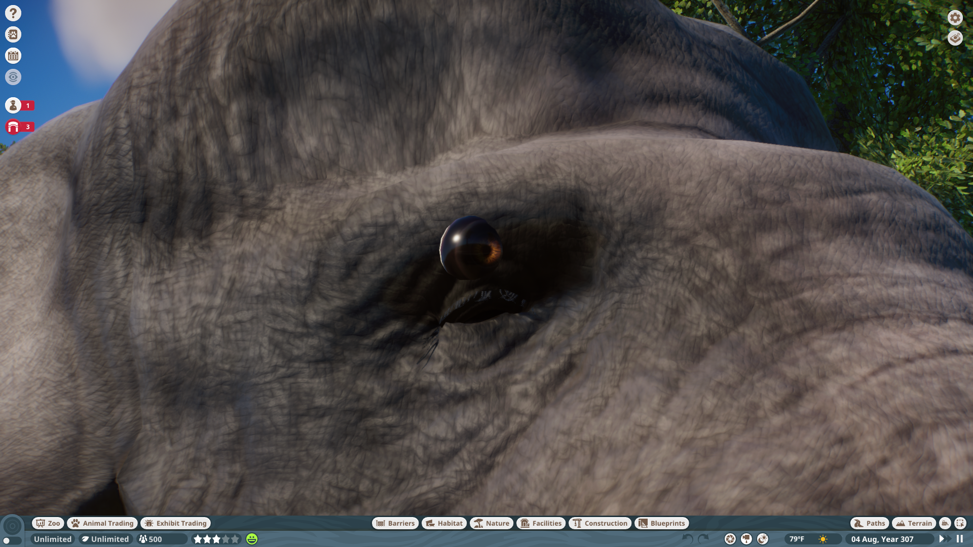 Planet Zoo - Straight Tusked Elephant Mod Eye Bug