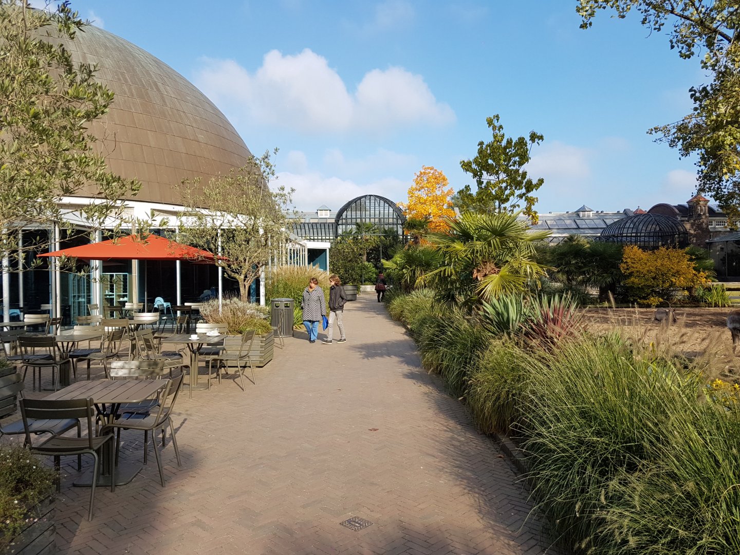 Planetarium ( left ) and Birdhouse ( front )