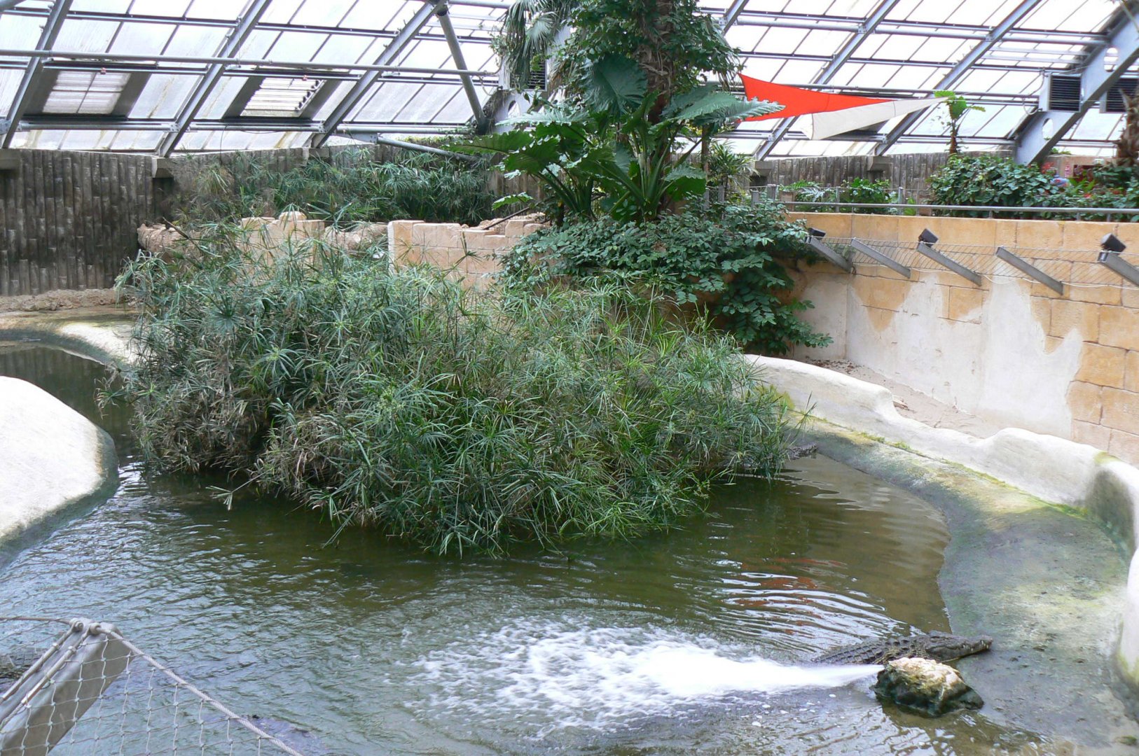 Planète Crocodiles - Adult Nile crocodiles exhibit