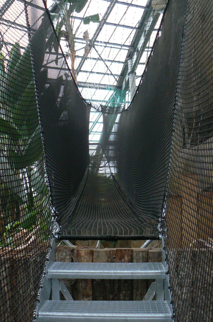 Planète Crocodiles - Aerial course