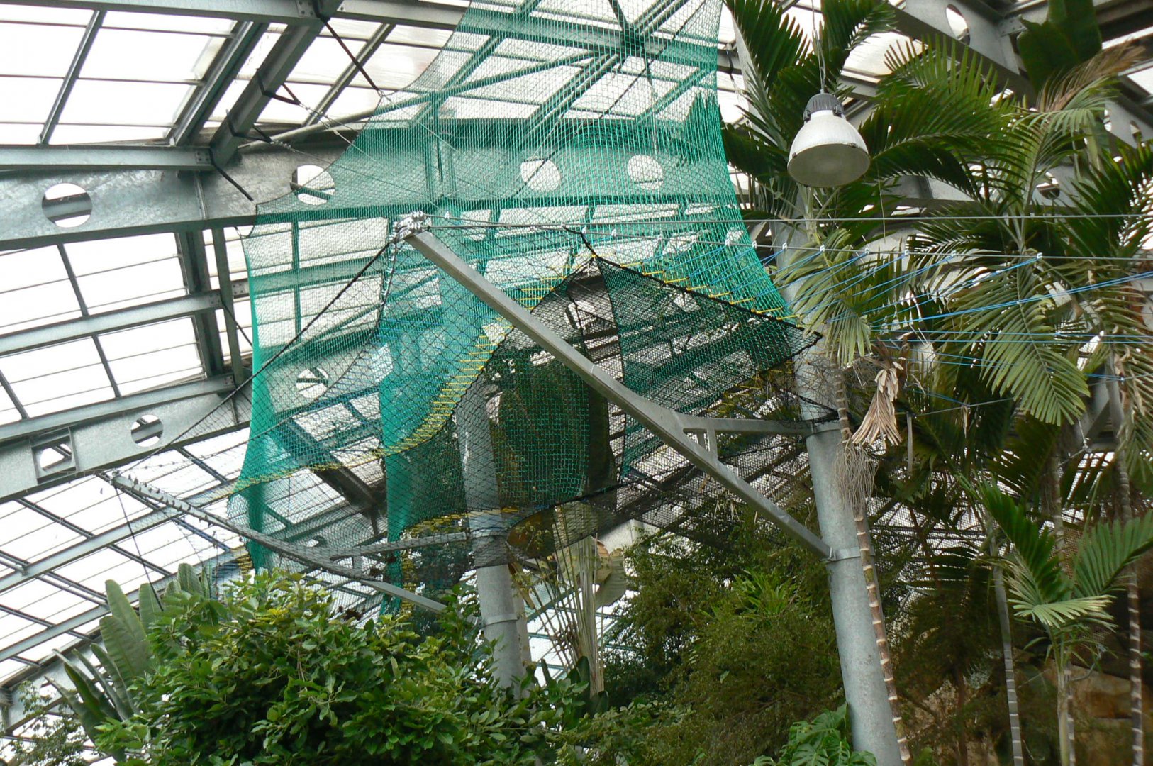 Planète Crocodiles - Aerial course