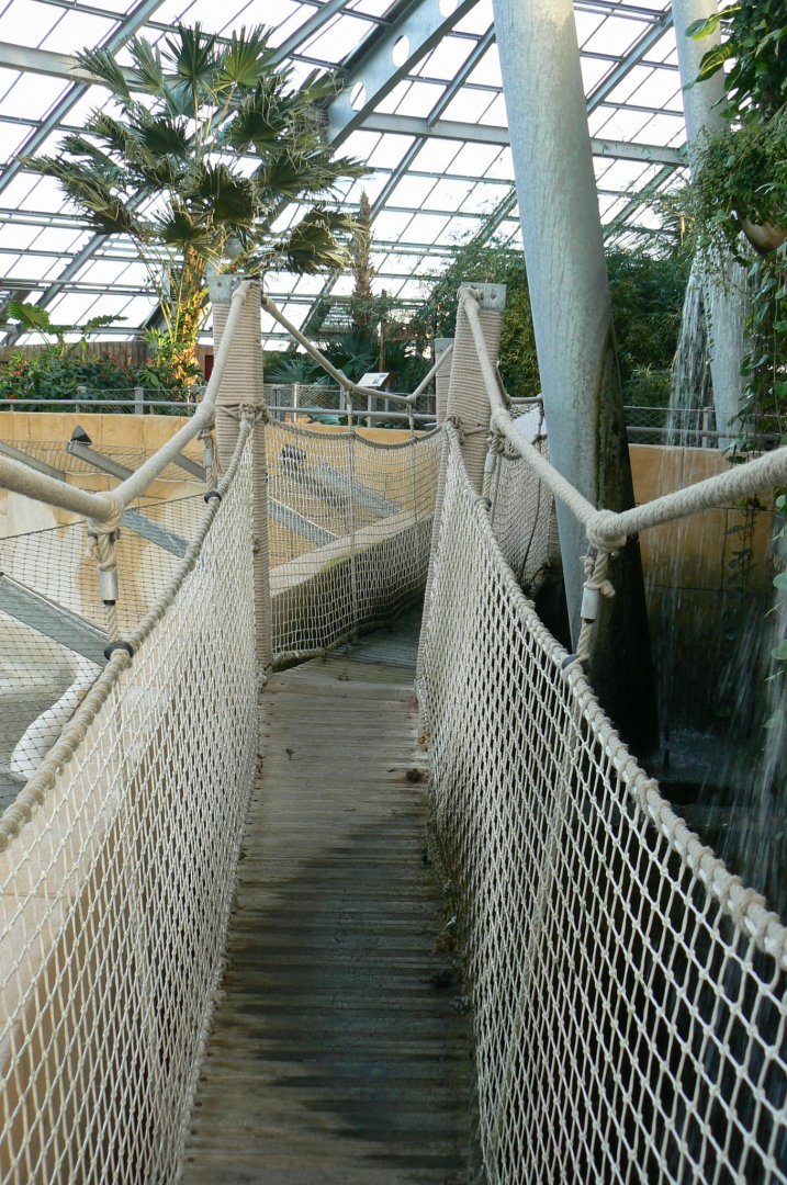 Planète Crocodiles - Bridge above the adult Nile crocodiles exhibit