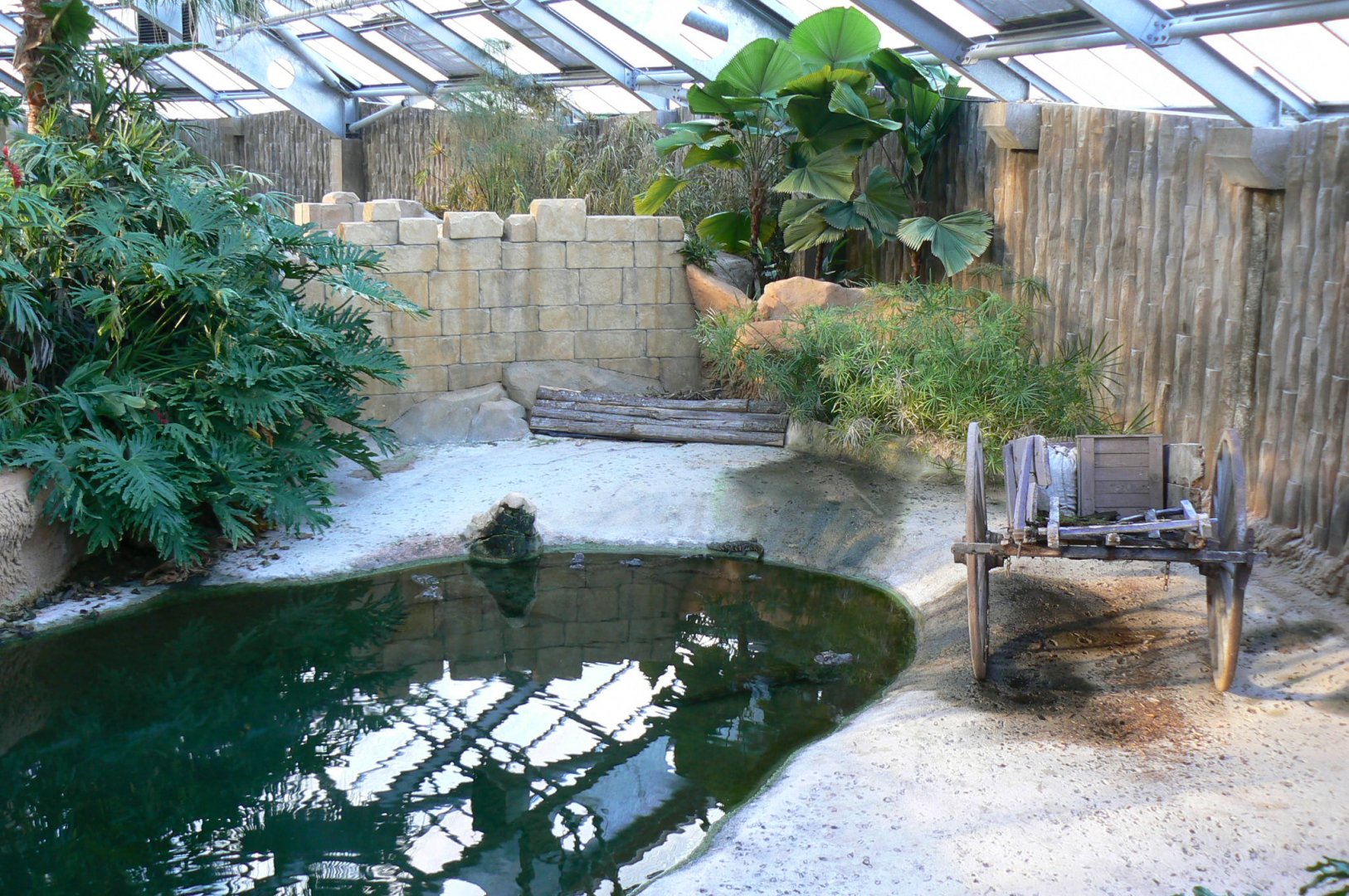 Planète Crocodiles - Broad-snouted alligators and spectacled caimans second exhibit