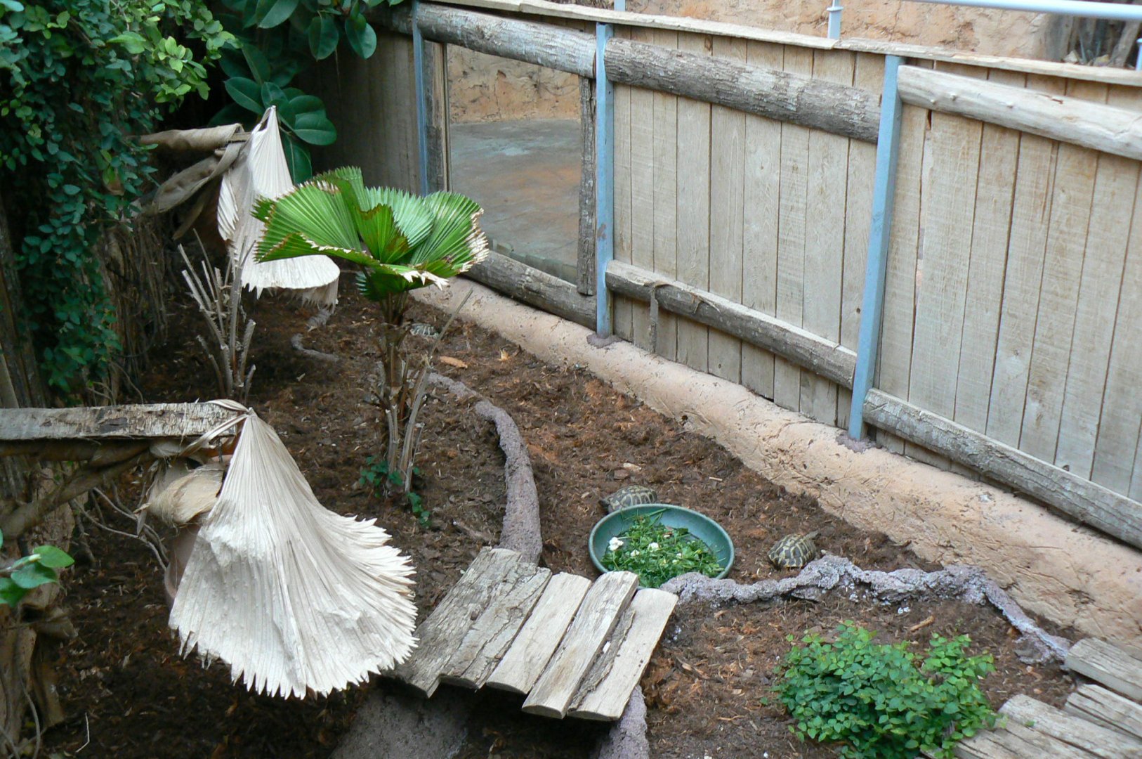 Planète Crocodiles - Hermann's and greek tortoises exhibit