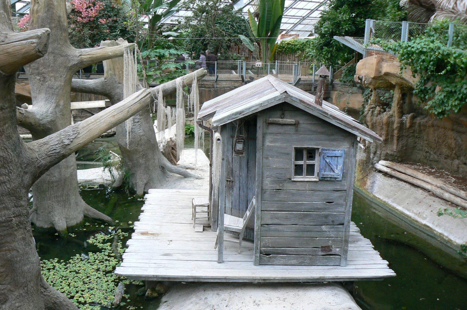 Planète Crocodiles - Mississippi alligators exhibit