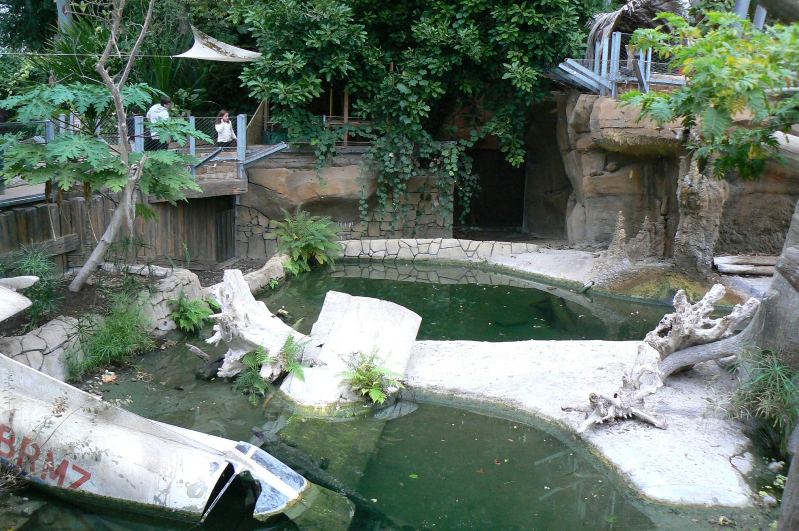 Planète Crocodiles - Mississippi alligators exhibit