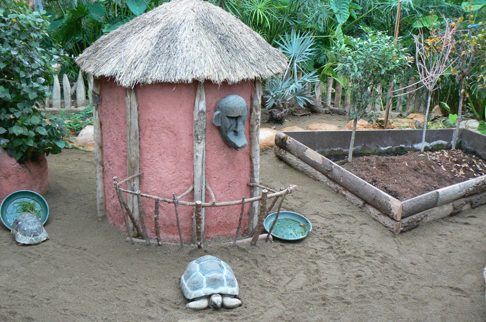 Planète Crocodiles - Radiated tortoises, Aldabra's giant tortoises and panther chameleon exhibit